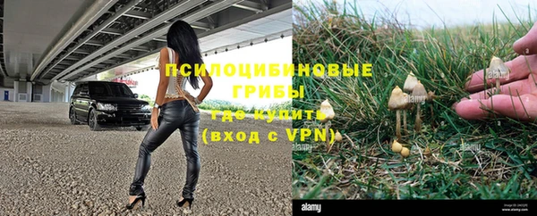 а пвп мука Верхний Тагил